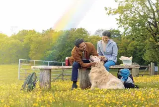 Pet Park